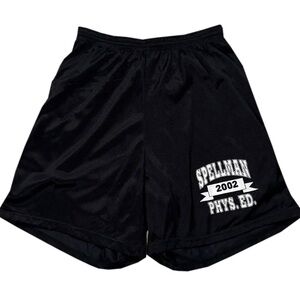 Vintage Yale Sportswear Spellman Phys Ed 2002 Mesh Shorts (Size L)
